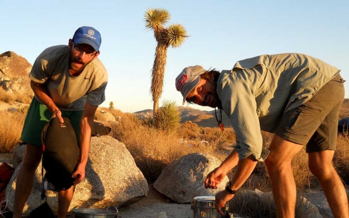 Two people look at the camera as they set gear down. There is a joshua tree in the background. 